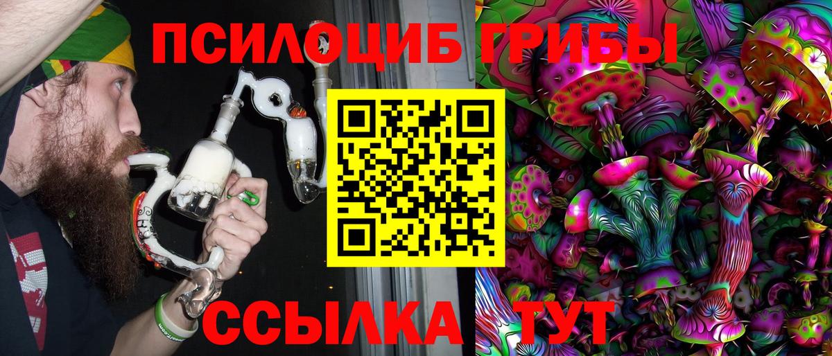 Псилоцибиновые грибы GOLDEN TEACHER  Вход с VPN  сколько стоит  Псилоцибиновые грибы Psilocybe  Полевской 